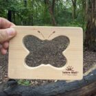 Little Looking Shapes - Nature - Image 13