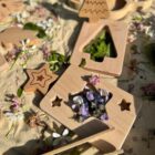 Little Looking Shapes - Nature - Image 10