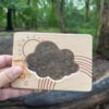 Little Looking Shapes - Nature - Image 11