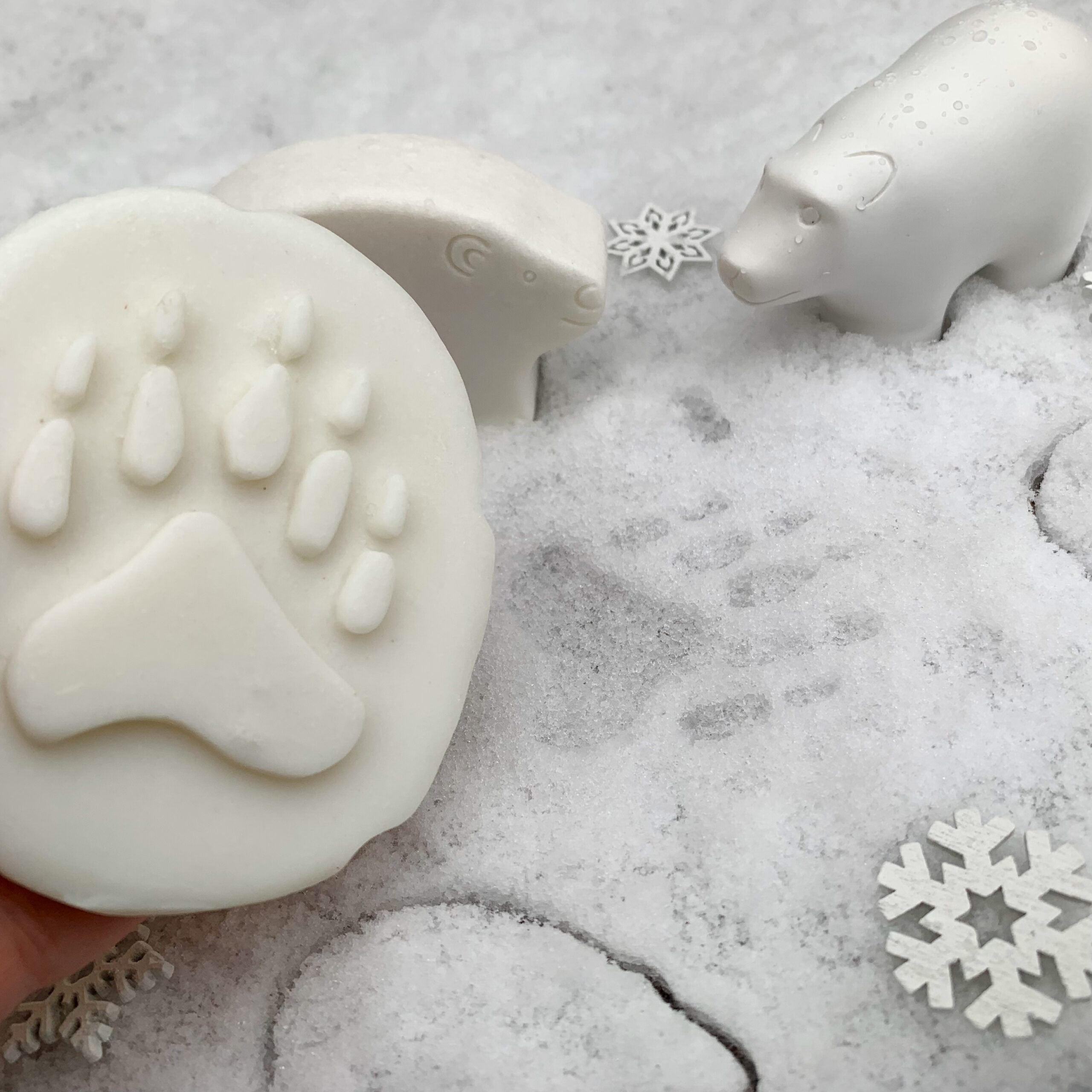 polar bear footprint in snow 