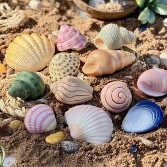 Seashells – Sensory Play Stones